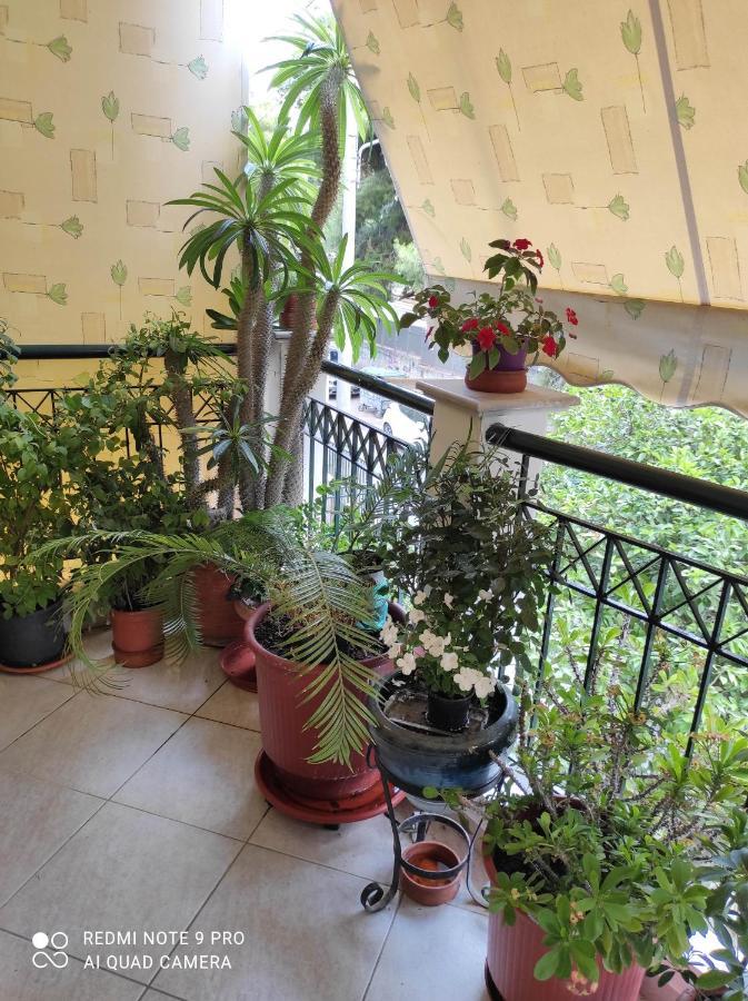 Aktys Elegant Studio, أثينا المظهر الخارجي الصورة